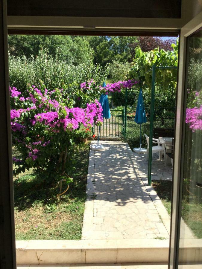 Appartamento Gemma